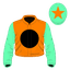 Raysham silk