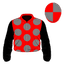 Royal Blaze silk