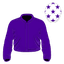 Dallas Star silk