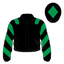 Dion Baker silk
