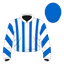 The Flying Seagull silk