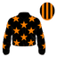 Far Ahead silk