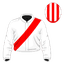 Flying Frontier silk