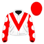 Judicial Review silk