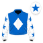 Charencey silk