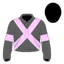 Gore Point silk