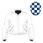 Lunar Orbit silk