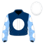 Dubai Champion silk