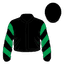 Tralee Girl silk
