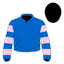 Jammy Jay silk