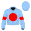 Shaw Park silk