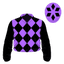 Ski Angel silk
