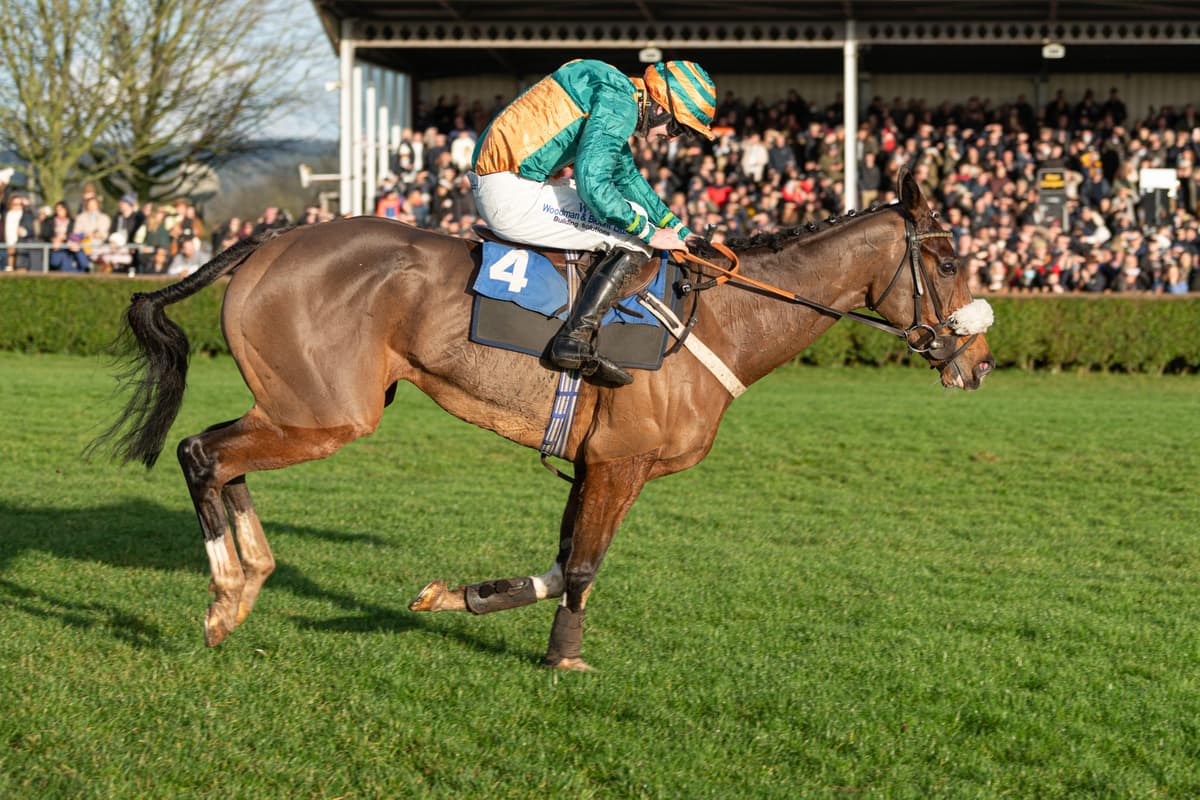Boxing Day Racing Tips