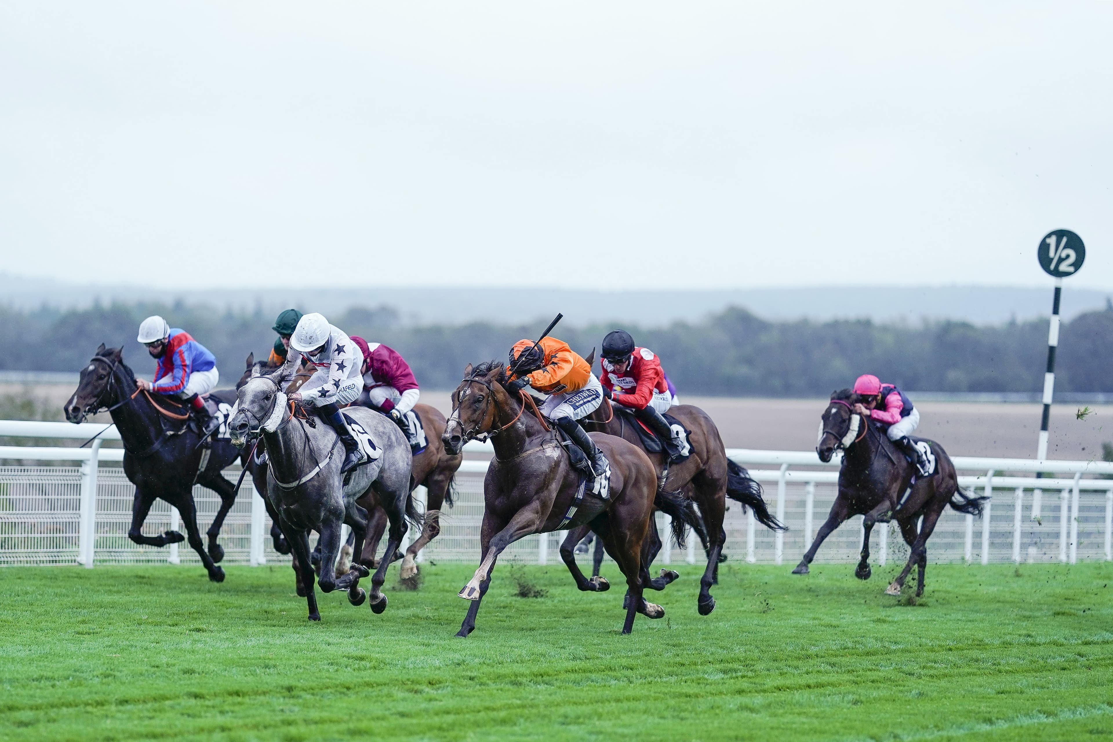 ITV Racing Tips for Today - Saturday 23rd May 2026