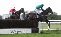 Warwick Gamble Sees Horse Backed From 12/1 To 4/1 image