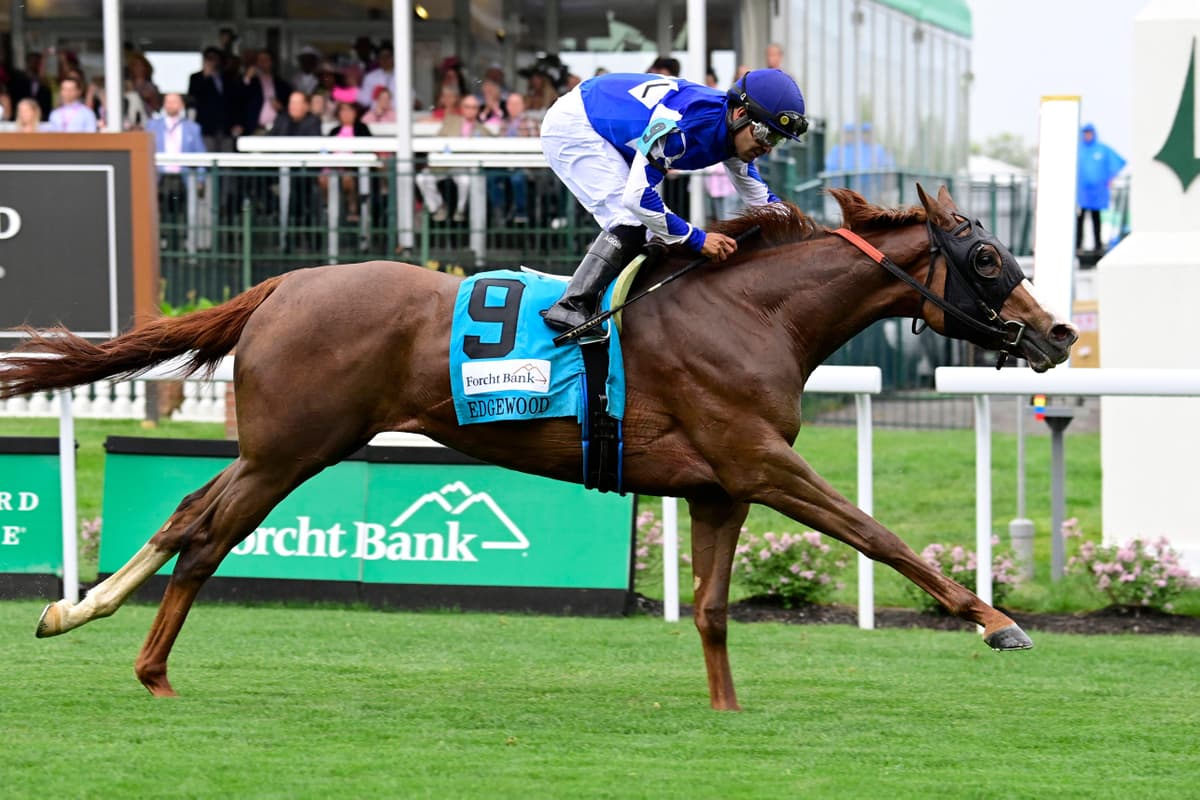 New Year’s Day Races Guide