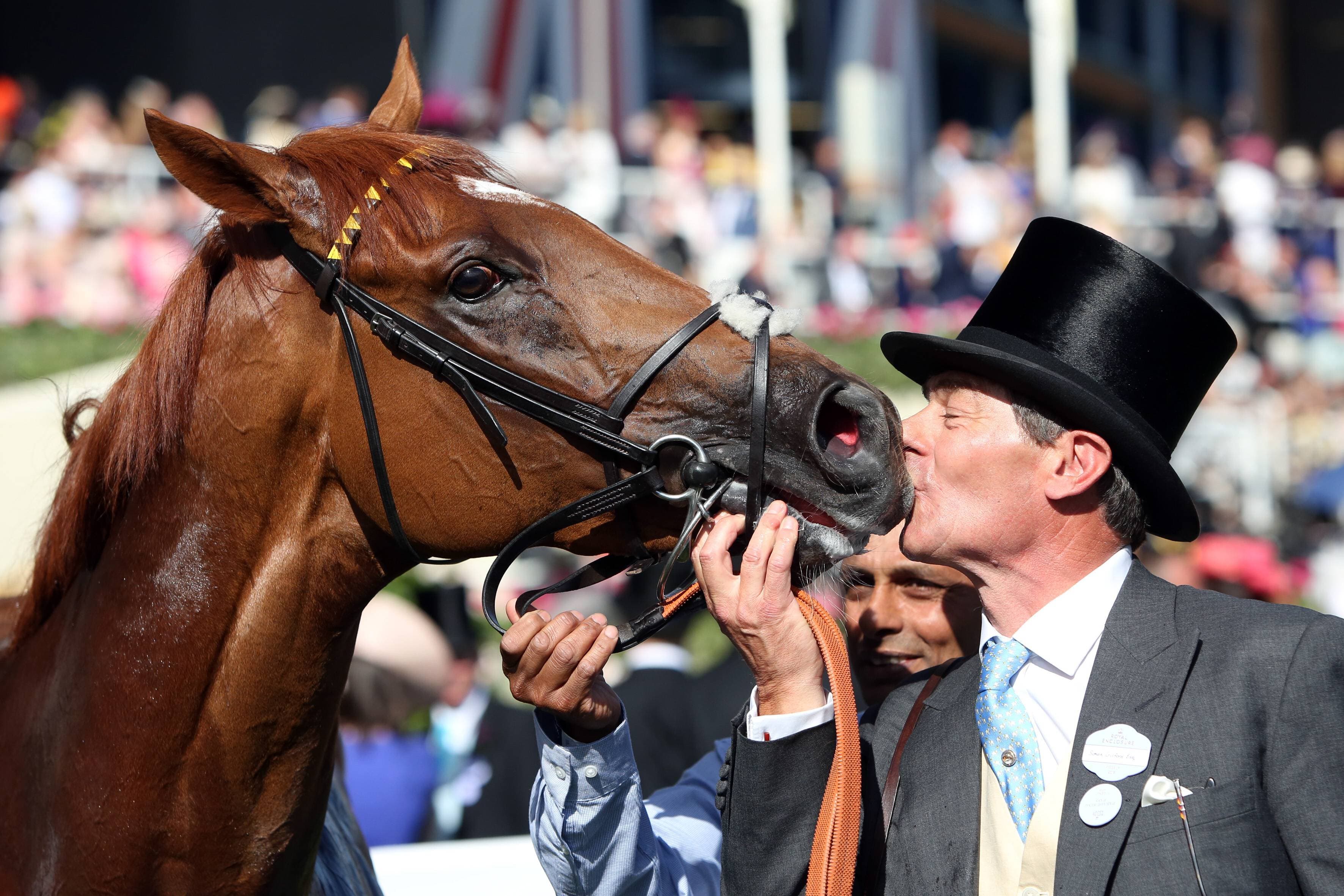 ITV Racing Tips for Today - Saturday 20th June 2026