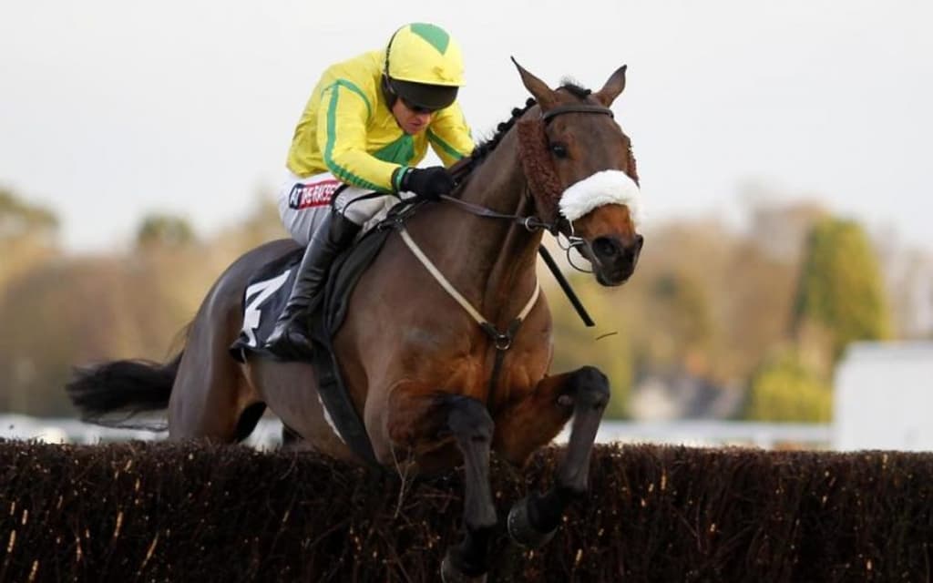 Five Star Newcomers For Tuesday’s Racing