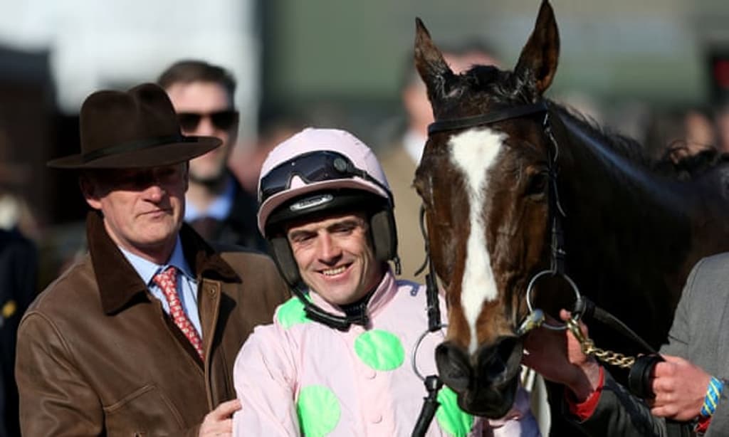 Vautour Race Horse