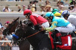 Breeder's Cup Preview Day Two Tips  image