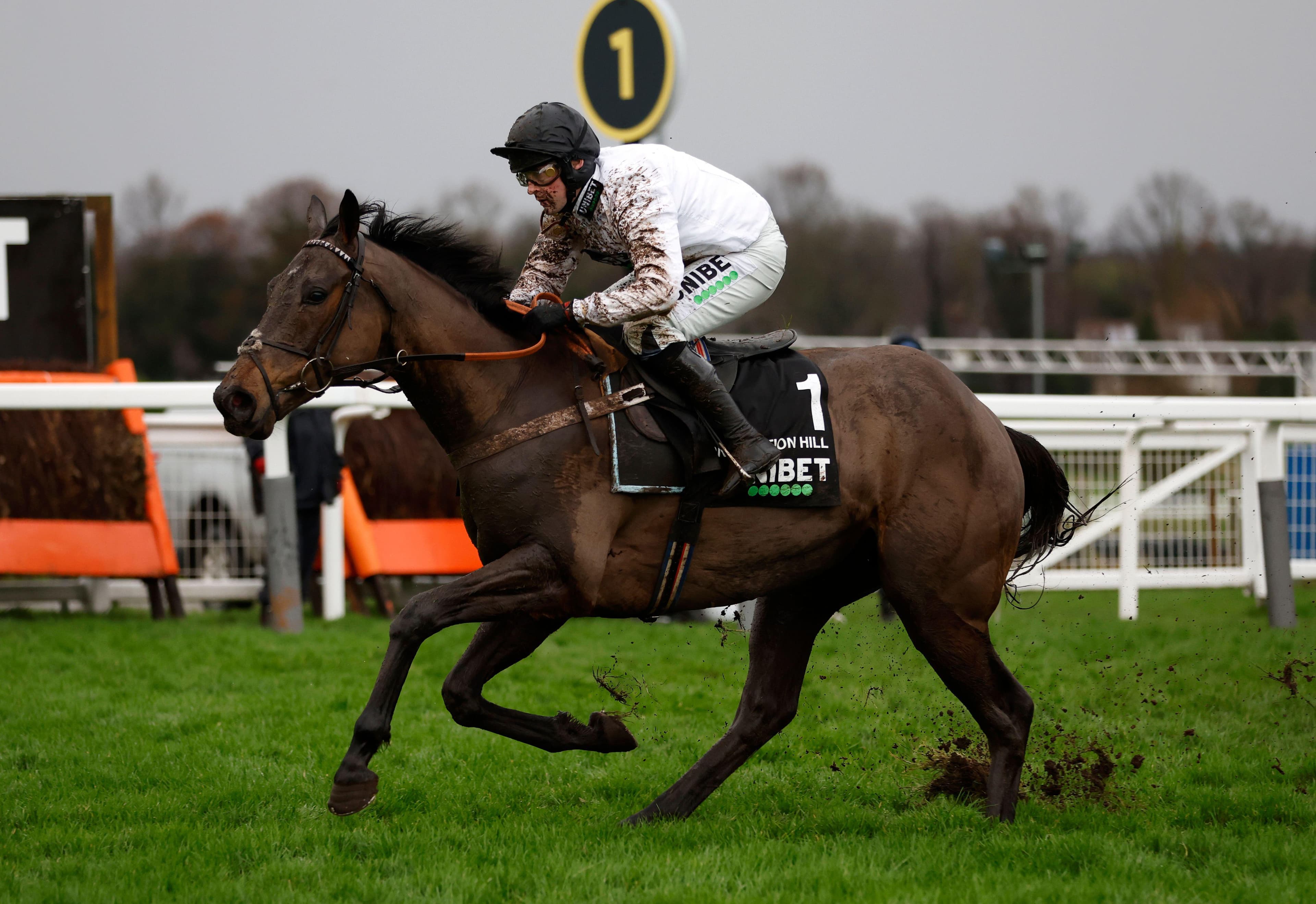 Constitution Hill bet365 Super Boost: Evens for Top Three Finish at Southwell! 20/02/2026