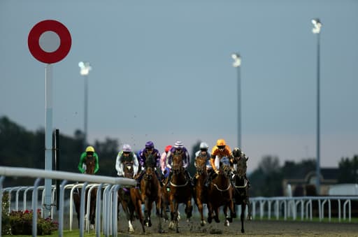 A Trainer Is Sending A Horse On A 446 Mile Round Trip image