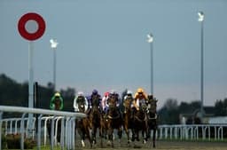 A Trainer Is Sending A Horse On A 446 Mile Round Trip image