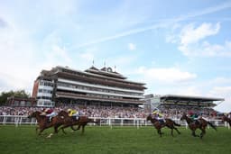 Newbury Saturday Preview image