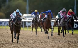 One Trainer In Great Form Sends One Runner Today image