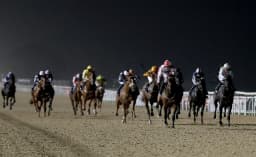 A Trainer Is Sending A Runner On A 568 Mile Round Trip To Newcastle image