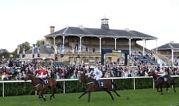 Doncaster St Leger Festival Day Three Preview image