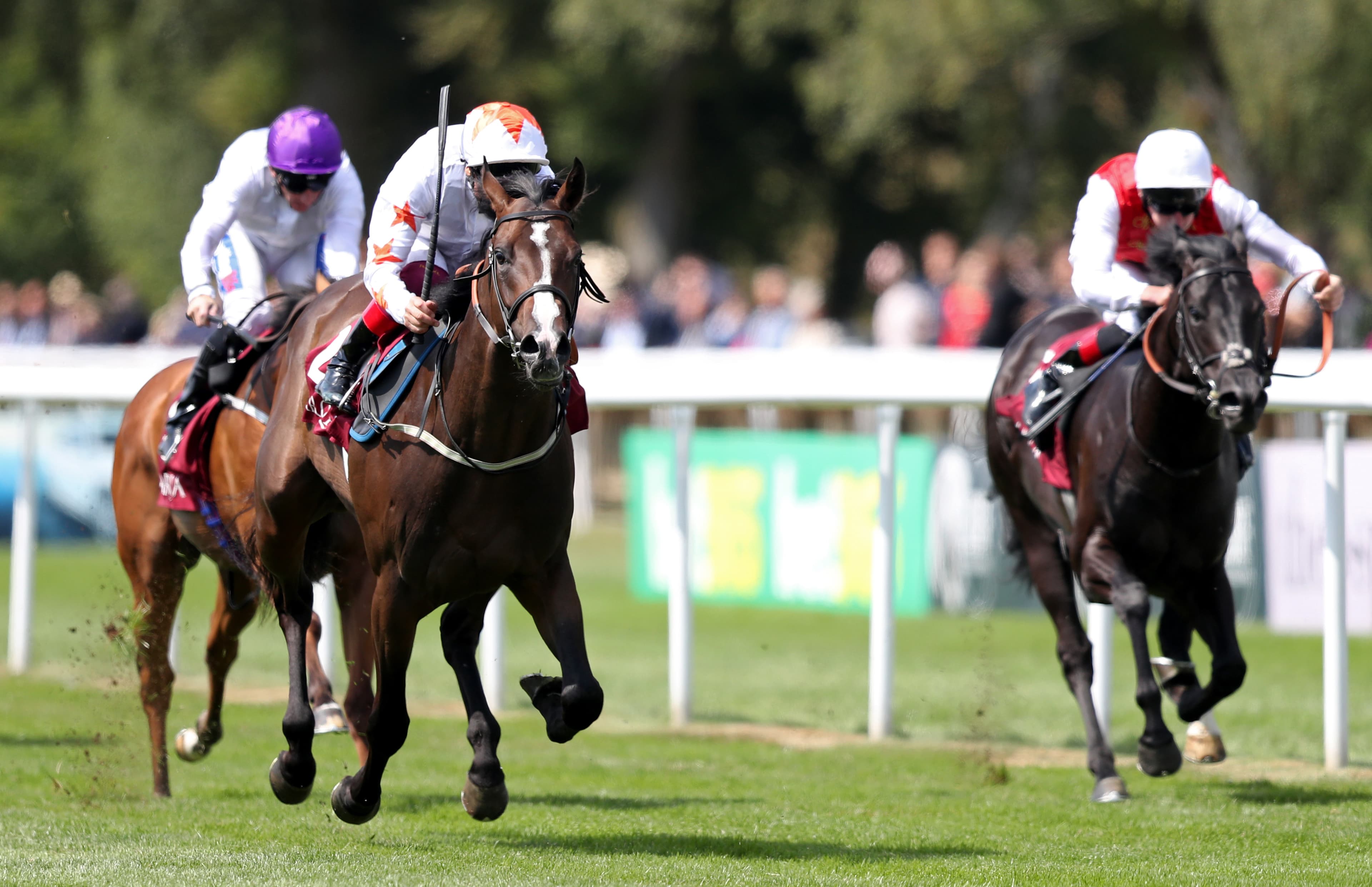 ITV Racing Tips for Today - Saturday 11th July 2026