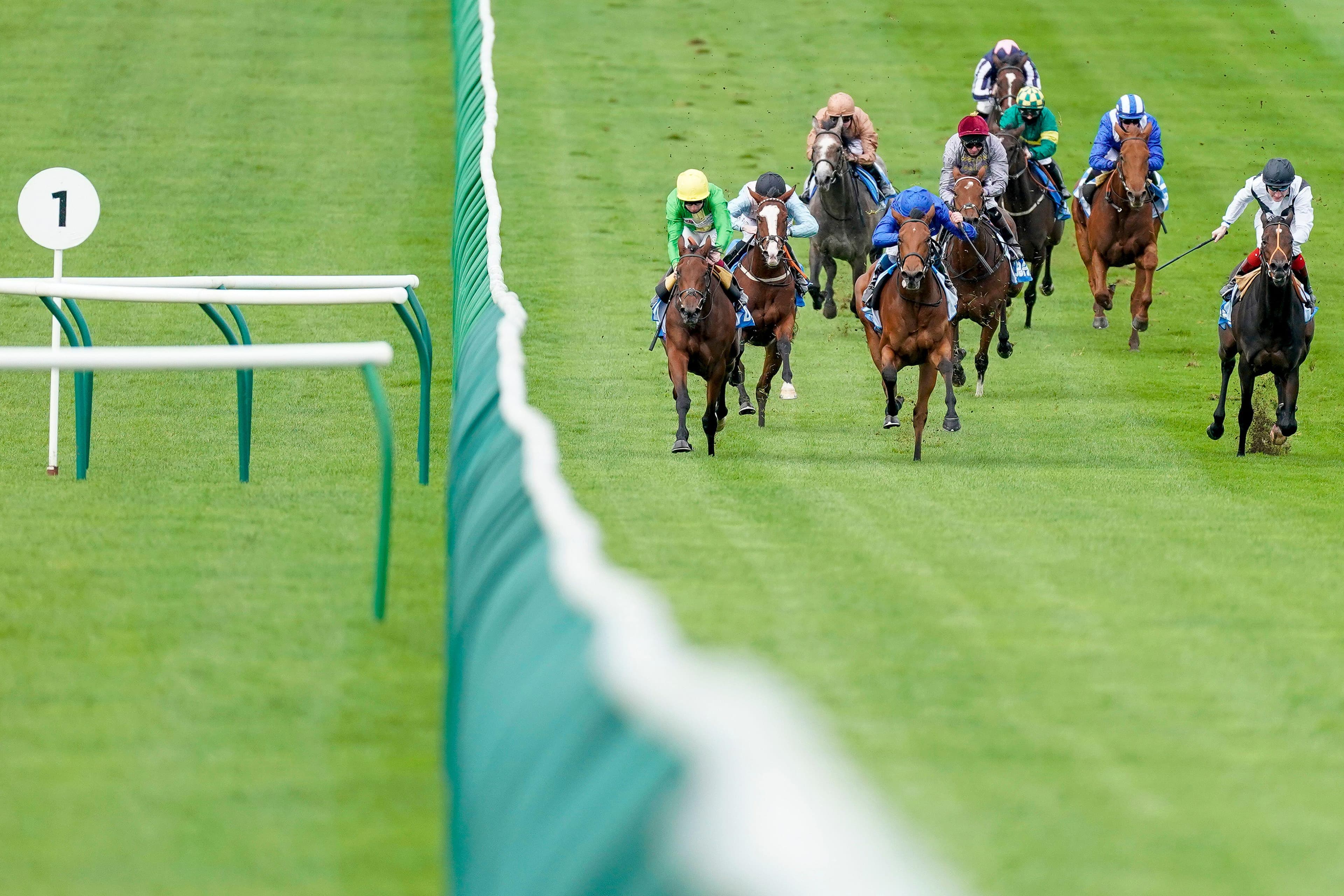 BOYLE Sports: Bet £10 Get £30 in Free Bets for ITV Racing | Tips for Saturday 10th October