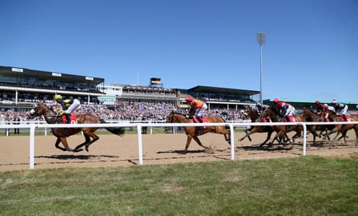 One Trainer Is Sending One Runner On A 600 Mile Round Trip Today image