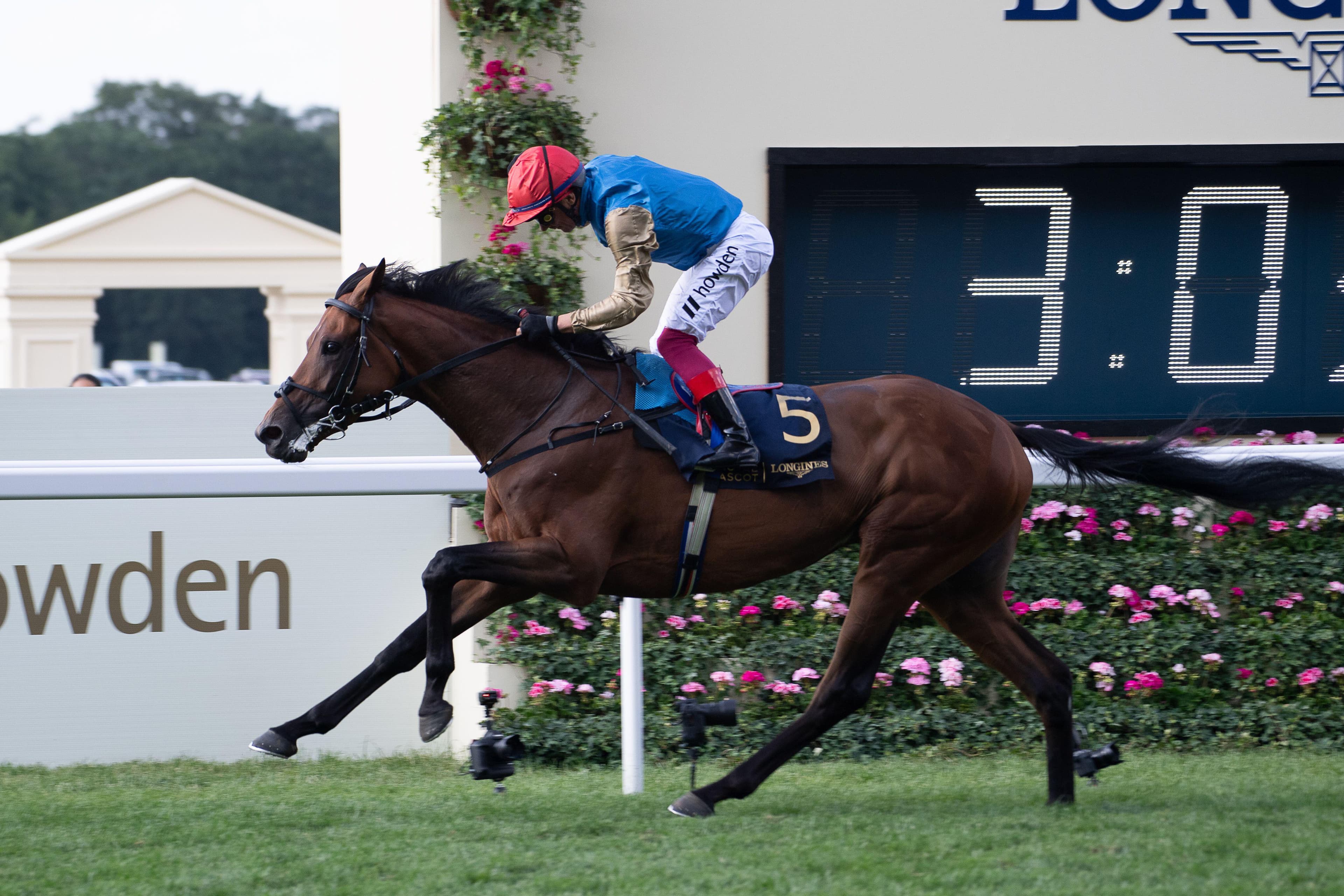 ITV Racing Tips for Today - Saturday 9th May 2026