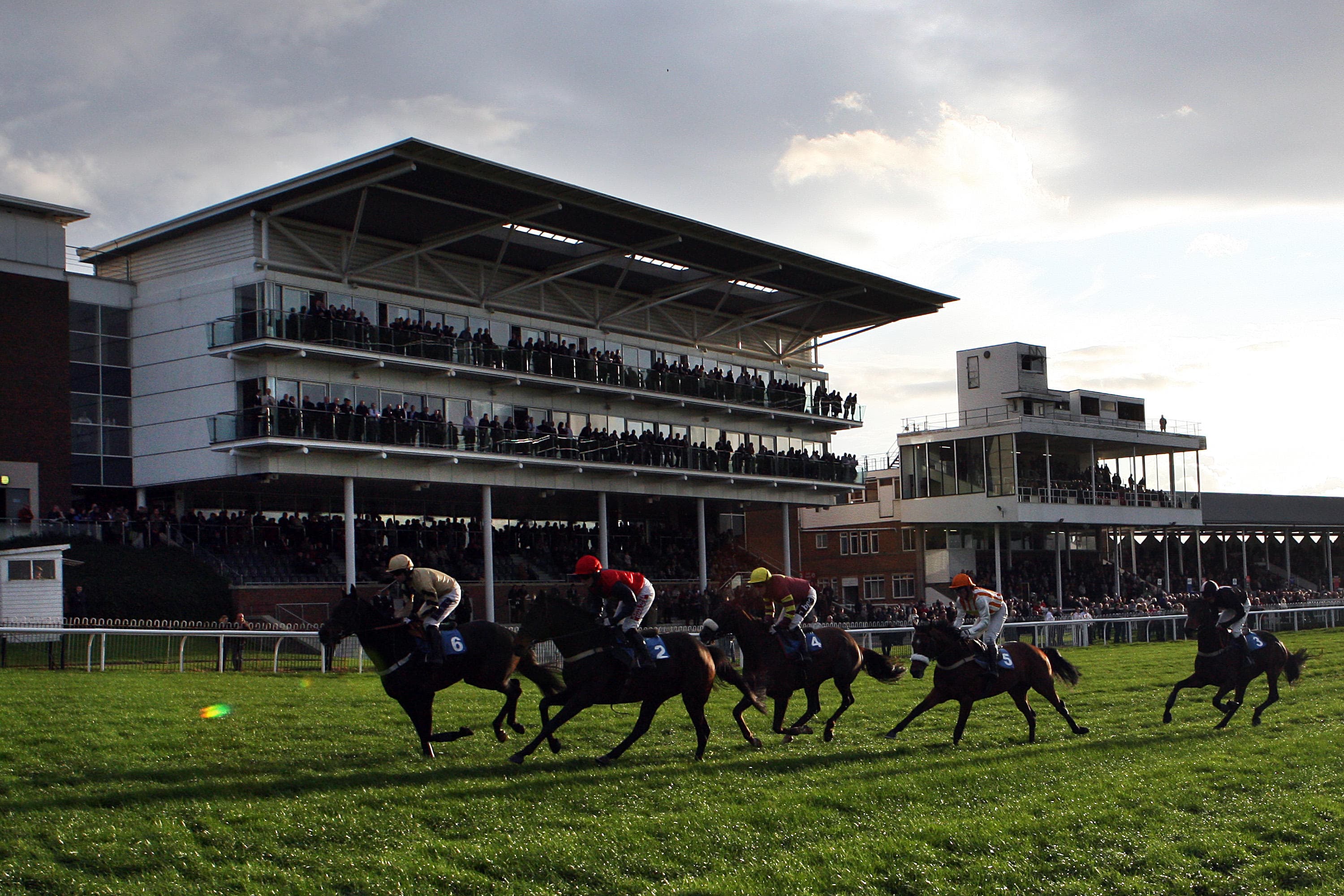 £50 in Horse Racing Free Bets for Wetherby & Chelmsford 26/11/2025