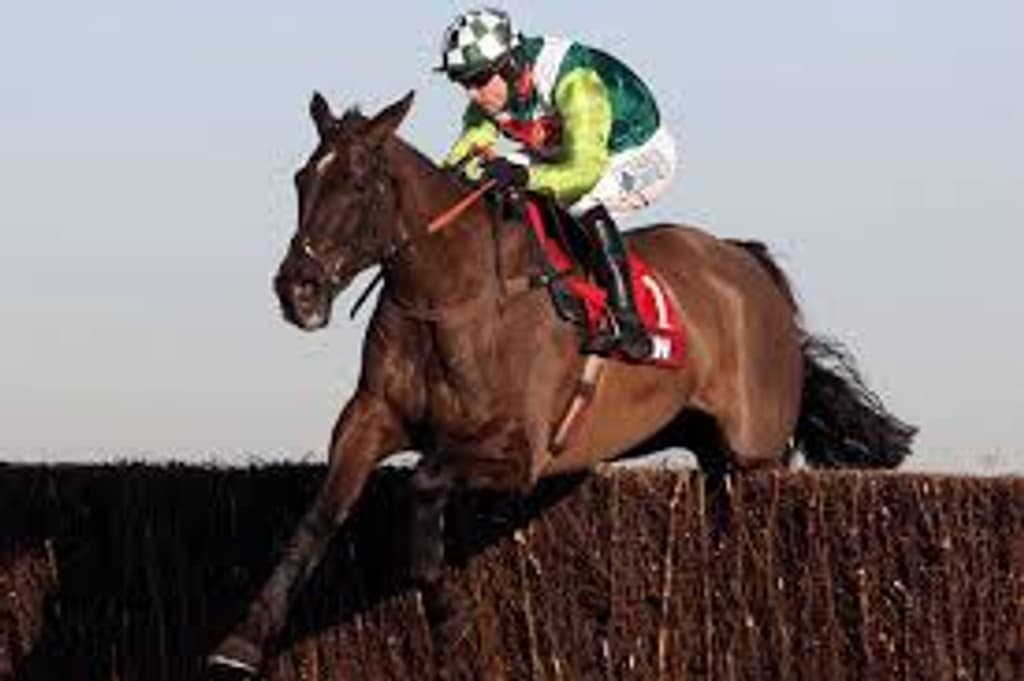 Denman Race Horse