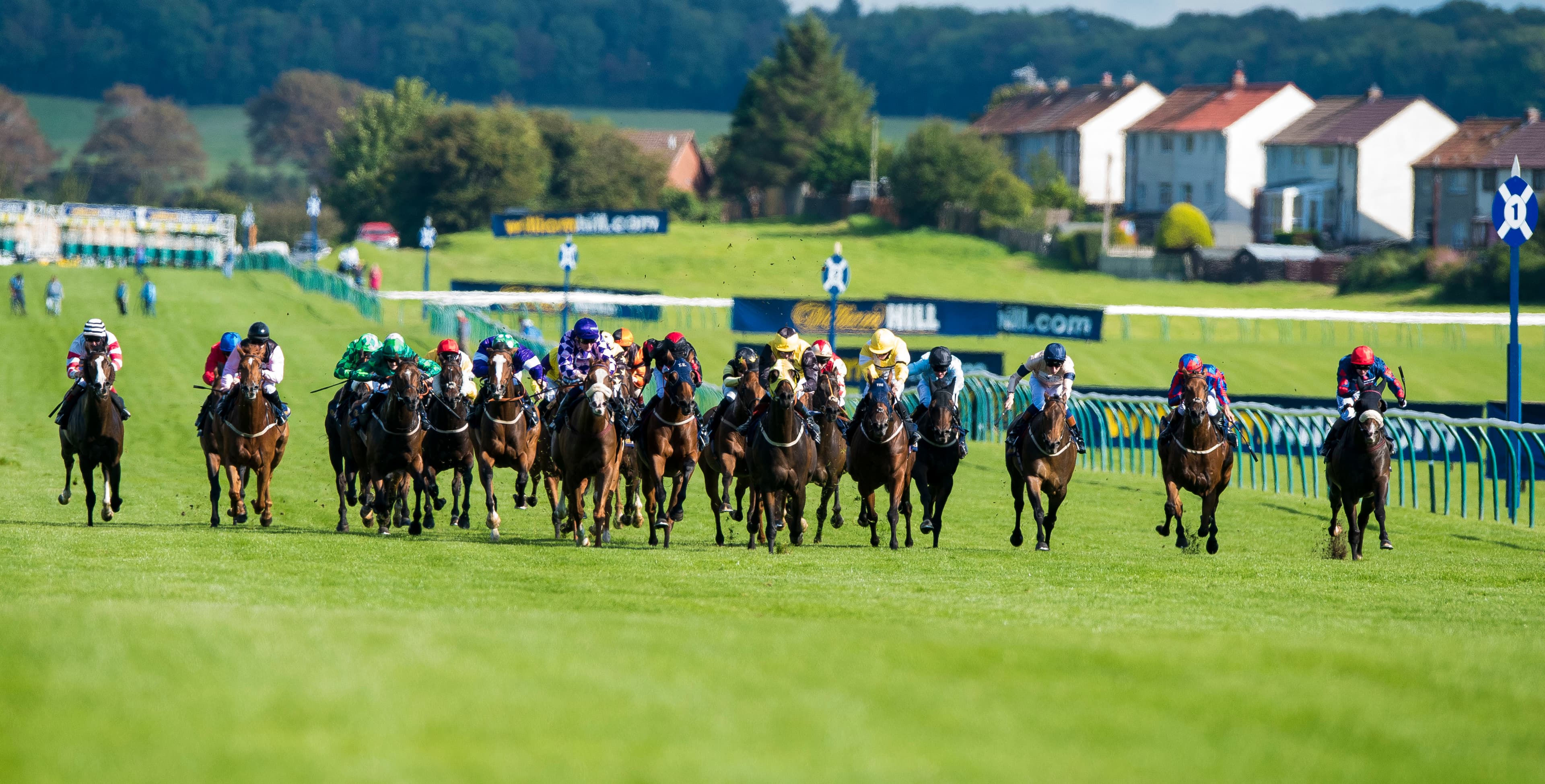 BOYLE Sports: Bet £10 Get £40 in Free Bets for ITV Racing | Tips for Saturday 19th September