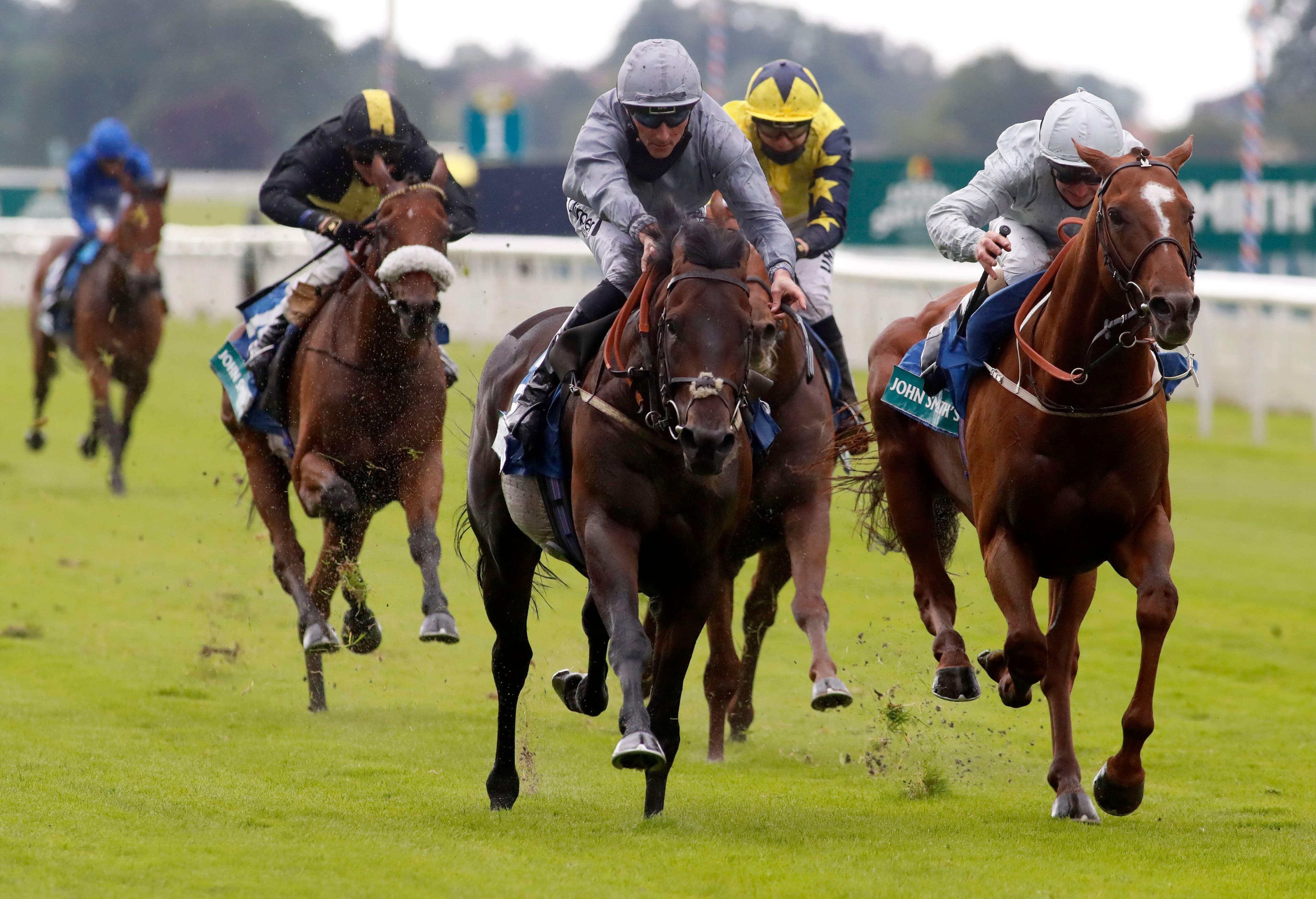 ITV Racing Tips for Today - Thursday 14th May 2026